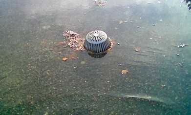 nations-roof-clogged-drain-ponding-water