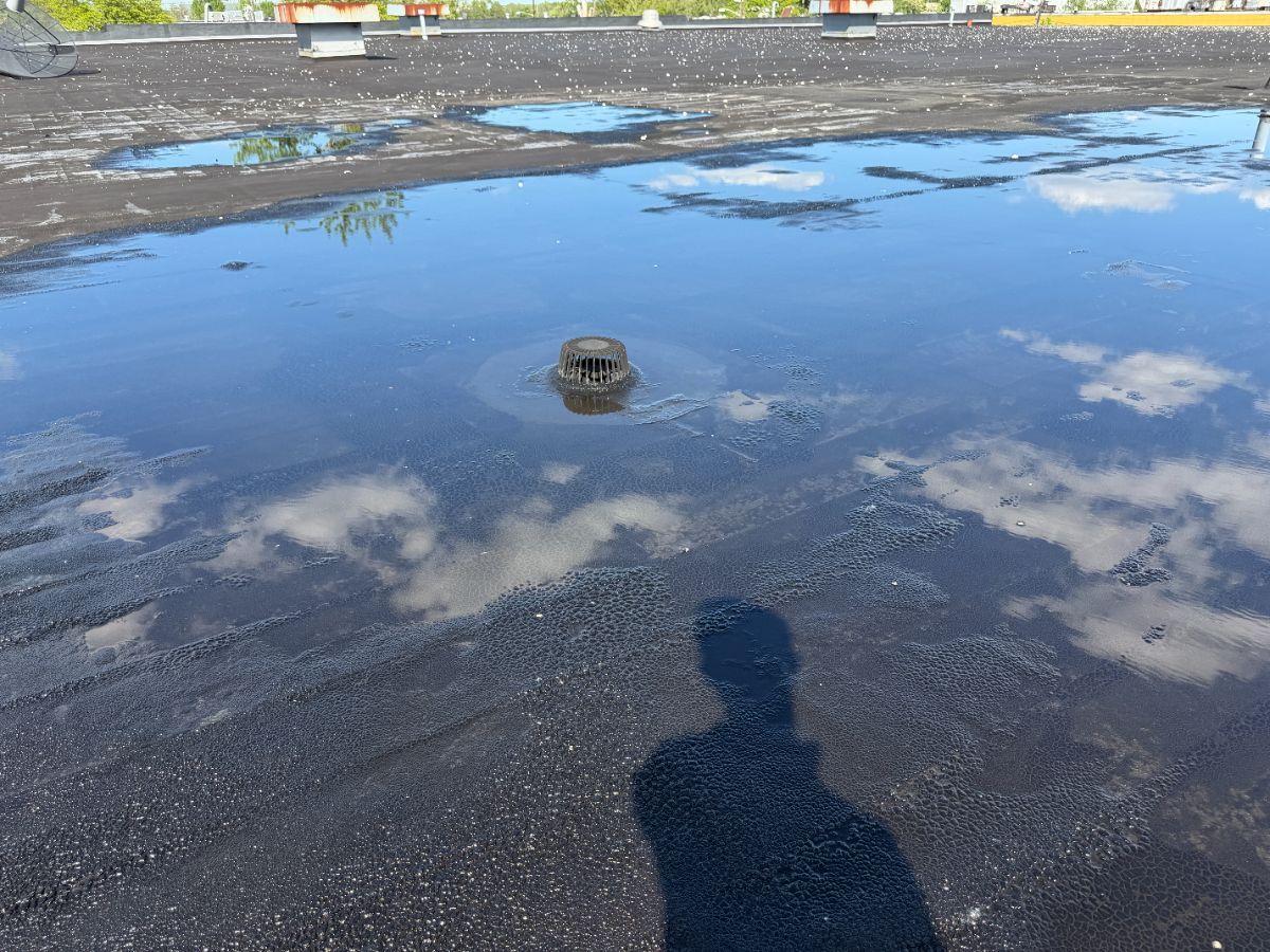 standing-water