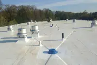 White TPO flat roof with vent pipes, Nashville commercial building.