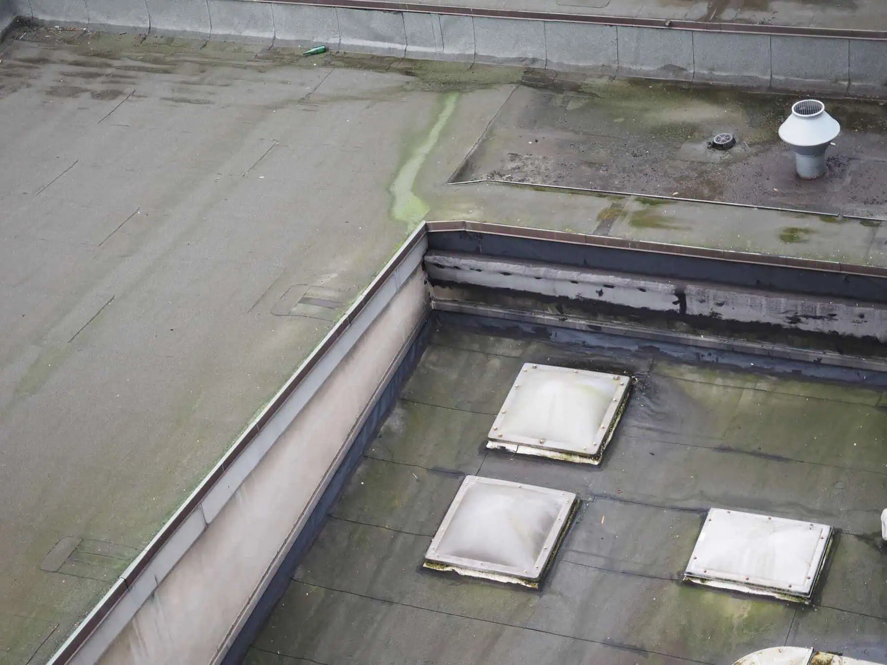 Preventing Mold and Mildew in Commercial Roofing Systems