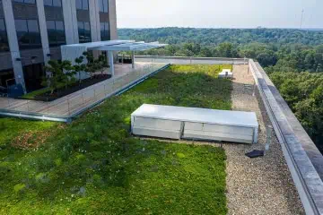 Green Roof and Shaded Patio Next to Resurgens Plaza